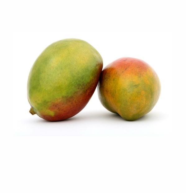 fresh Indian mango