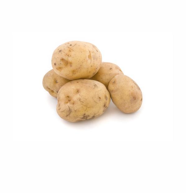 Indian potato